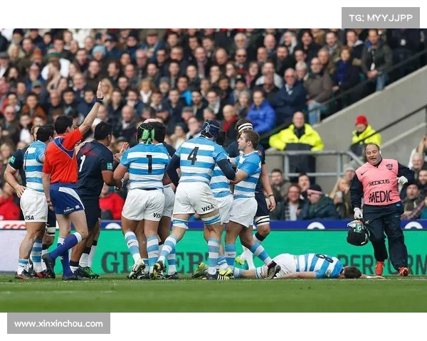 伯明翰英冠揭幕战爆发激烈冲突 前曼联球星阿什利扬卷入混战引发关注