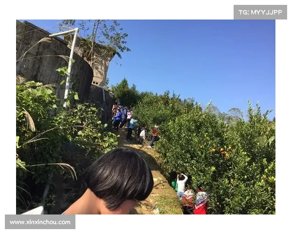 加克波:若塔的永恒回忆激励我们争取更多荣誉与辉煌未来 加克波:若塔的永恒回忆激励我们争取更多荣誉与辉煌未来